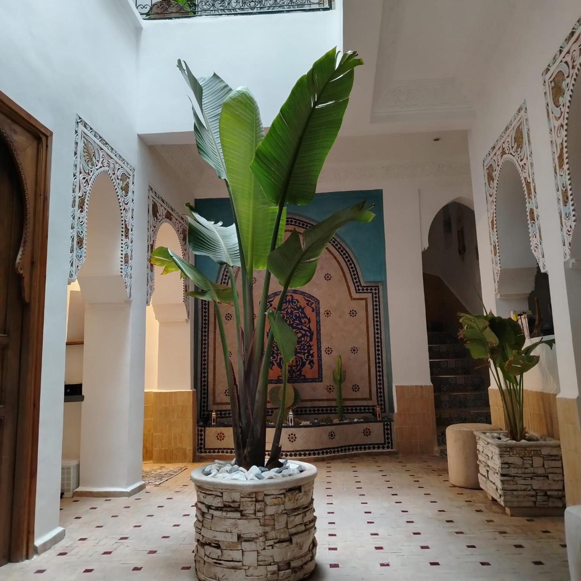 Riad & Spa Sous Le Soleil Chez Jerome Et Pamela Ch Marrakchi Маракеш Екстериор снимка